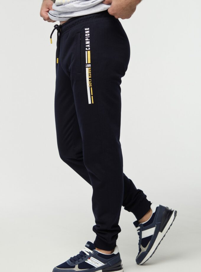 Брюки Stefano Claudio Campione